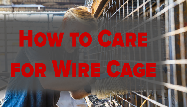 How to Care for Wire Cage